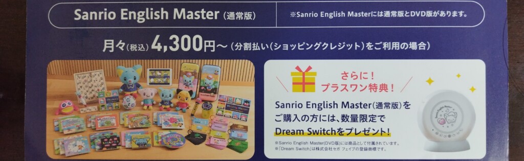 チラシに書かれた通常版の分割払い月々4,300円からという案内
