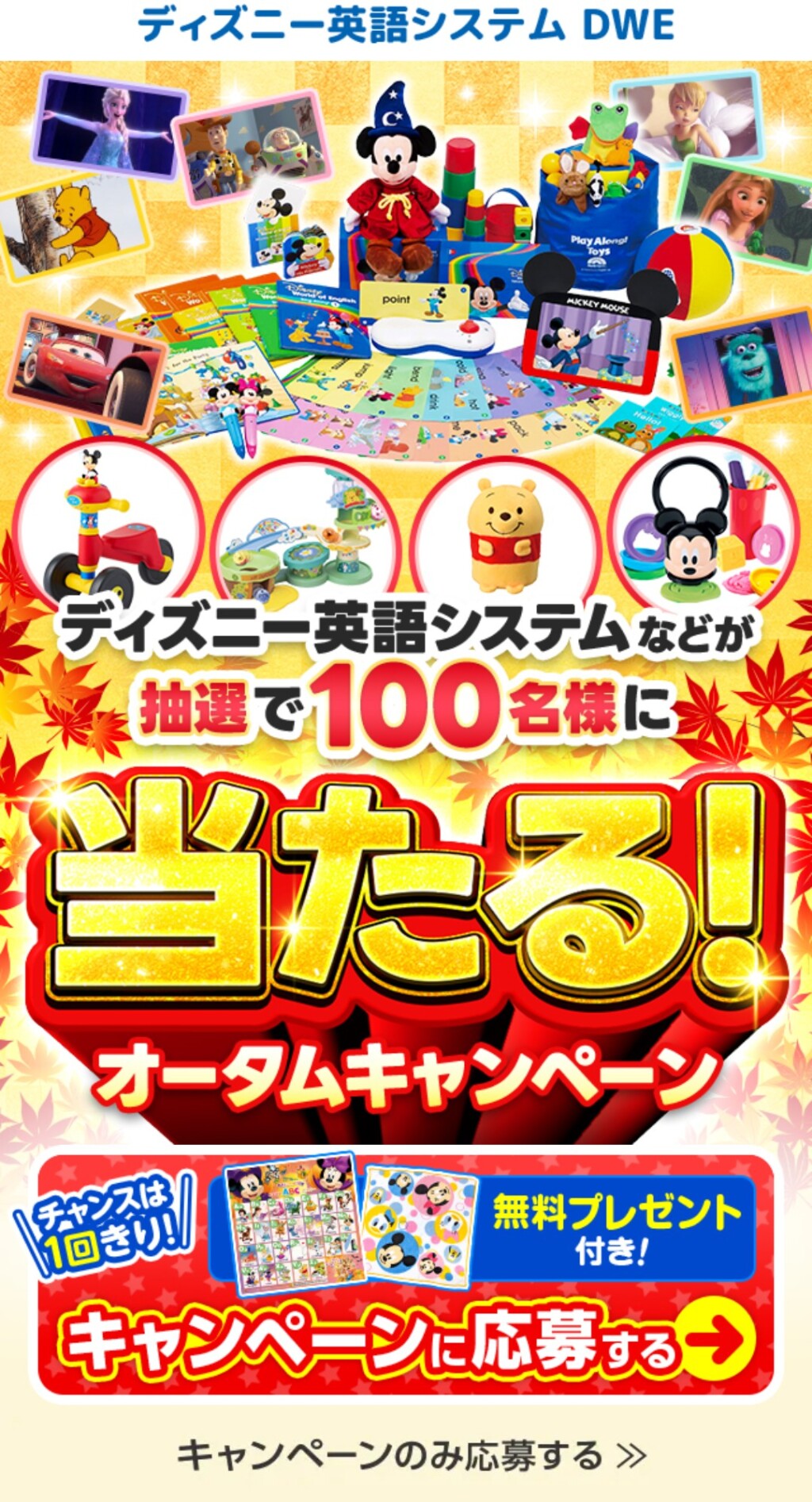 DWEキャンペーン応募画面
